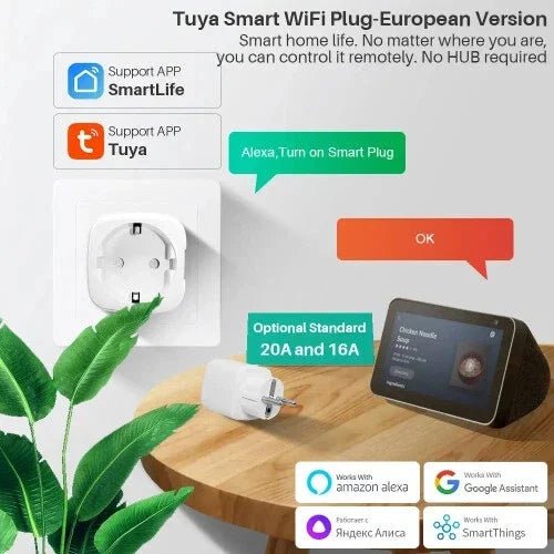 Smart Plug WIFI/Zigbee EU - EverPeak storeeverpeakstore
